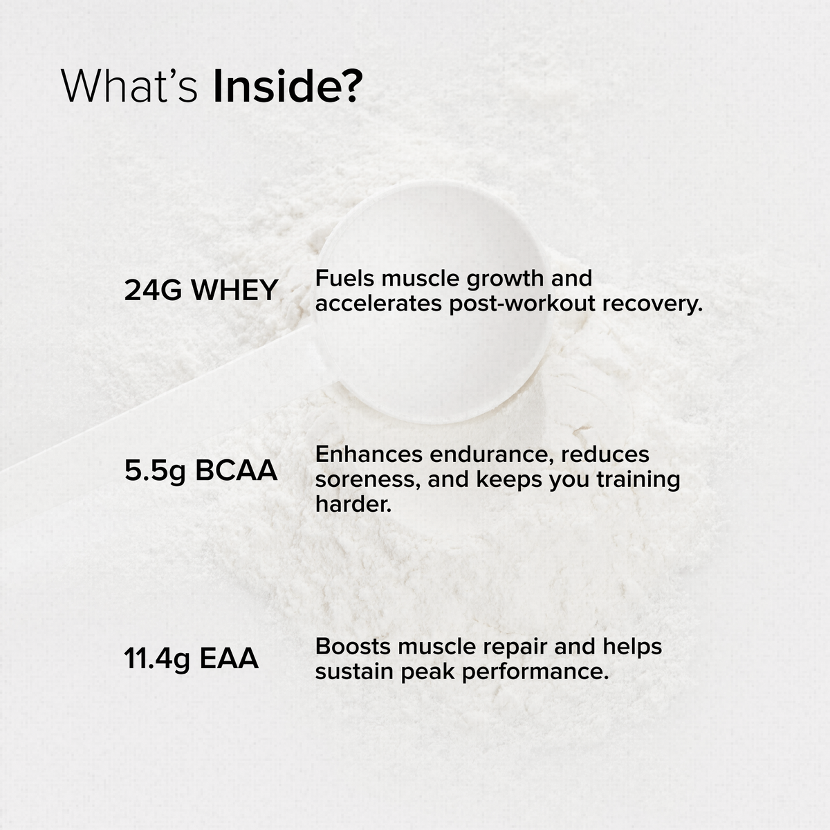 GNC Pro Performance 100% Whey Protein Powder & Steel Shaker (Chocolate Supreme, 4 lbs with Shaker)
